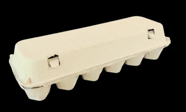 12 egg carton standard size