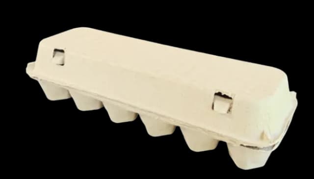 12 egg carton Jumbo size